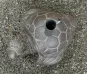 morepic-3